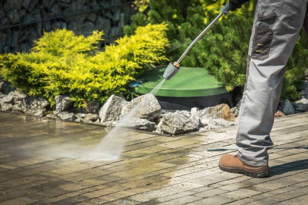 Best Dumpster Area Cleaning  in Mahopac, NY