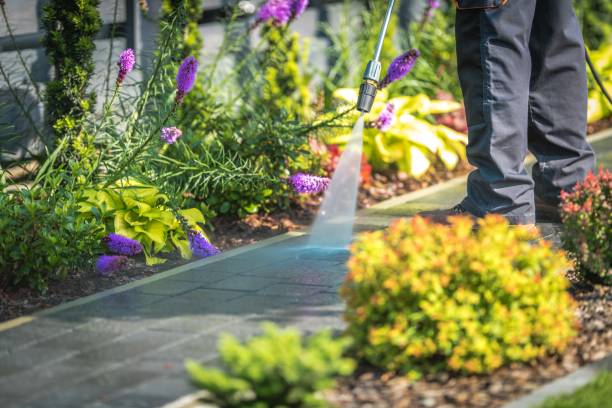 Best Pre-Holiday Cleaning  in Mahopac, NY